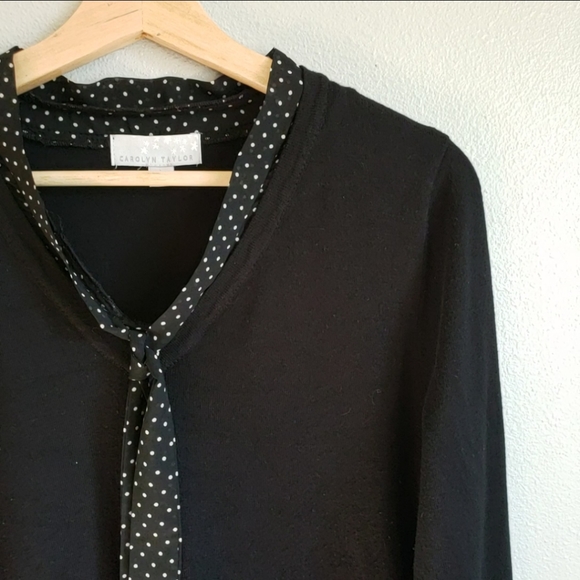 Carolyn Taylor Top Chiffon Polka Dot Trim - Picture 3 of 5